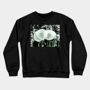 Waiting for the Wind Crewneck Sweatshirt